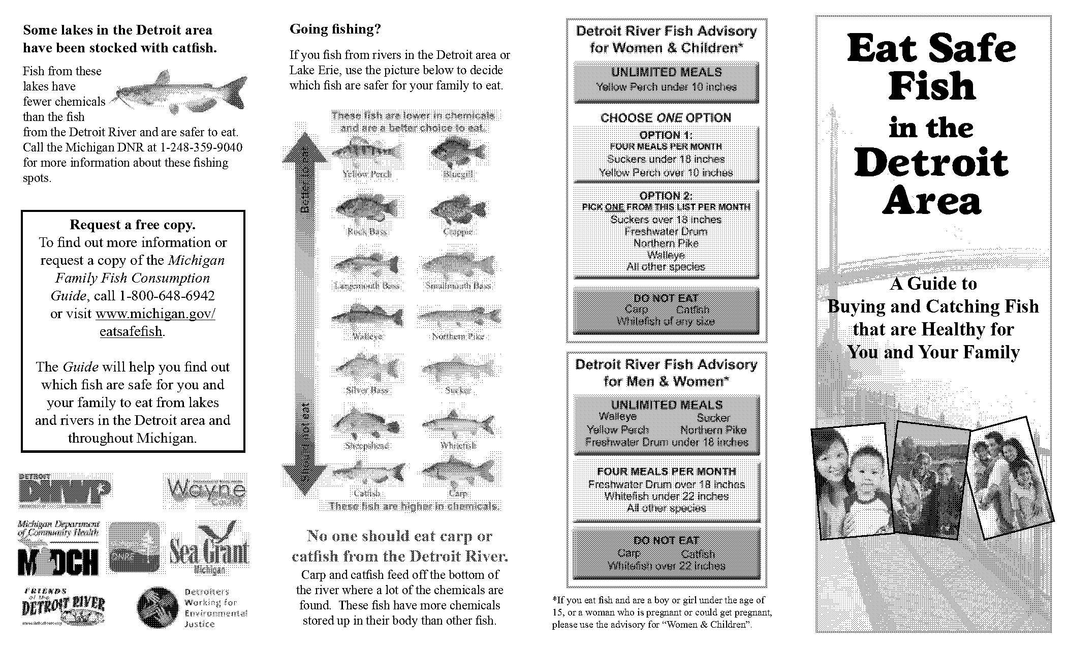 eat safe fish guide southeast michigan