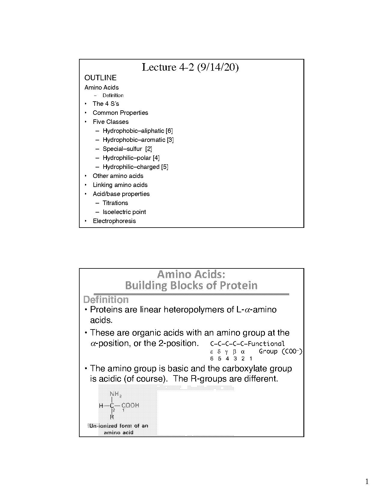 properties of r groups in amino acids