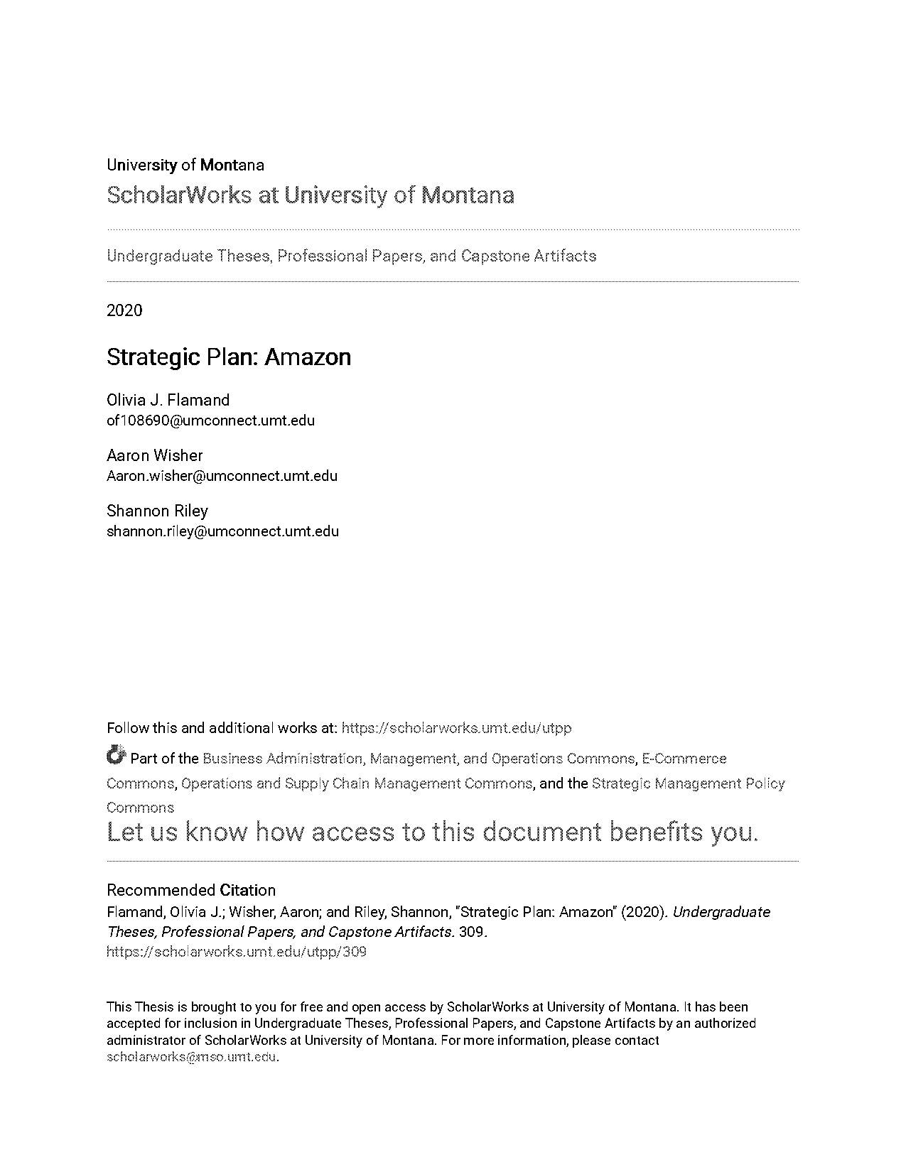 growth matrix example income statement